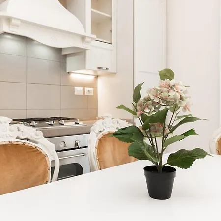 Finelli Luxury Apartment, In The Heart Of